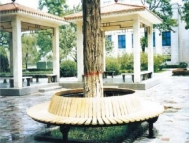 甘肅CS5-05圓形圍樹椅